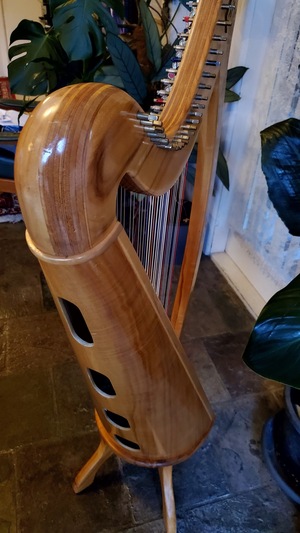 Julius's%20harp%202